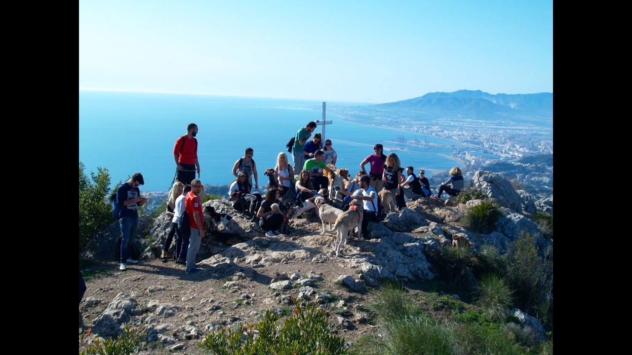 Voluntarios - Protectora de Animales Málaga