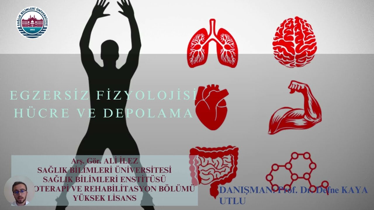 Ali İlez Anlatıyor: Hücre ve depolama- II