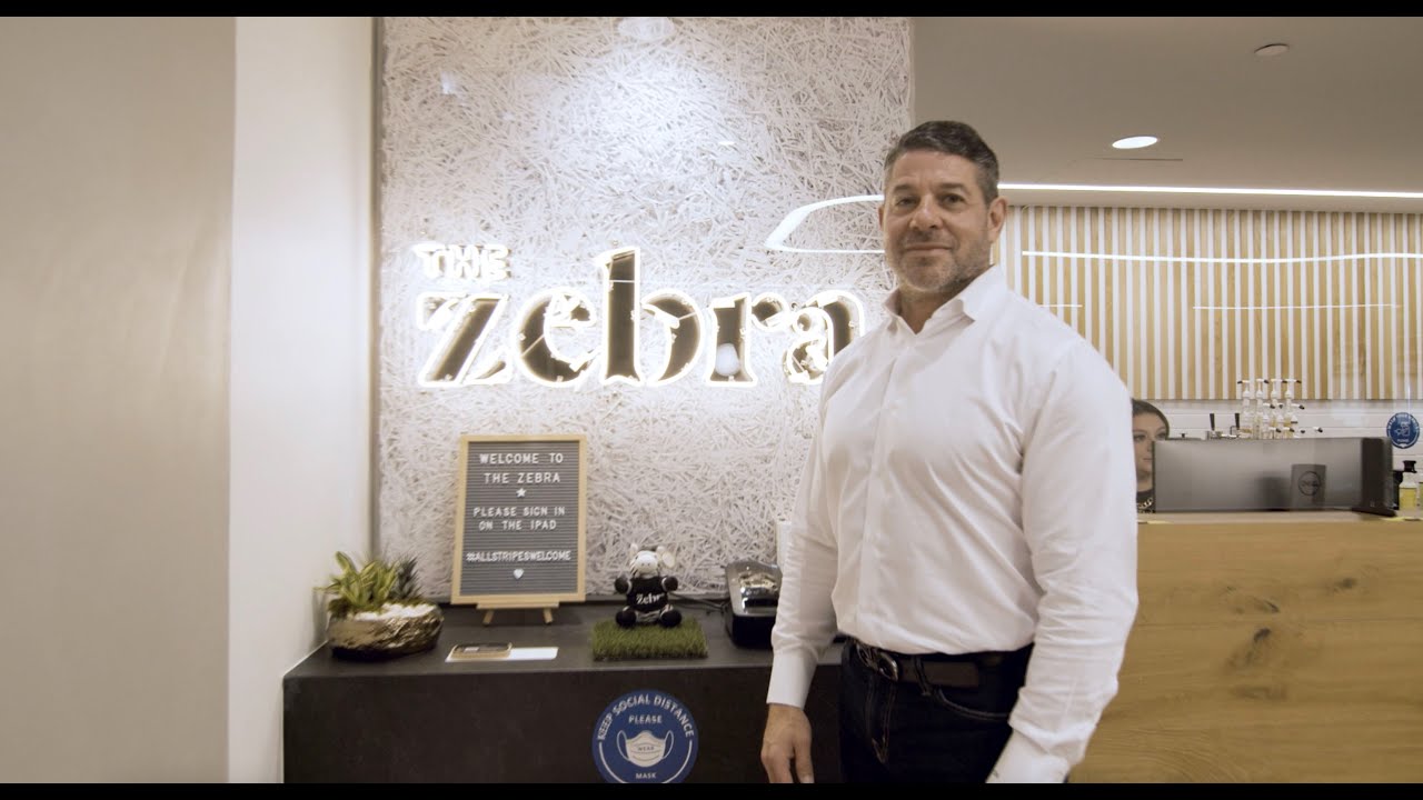 How The Zebra became the nation's leading insurance comparison website