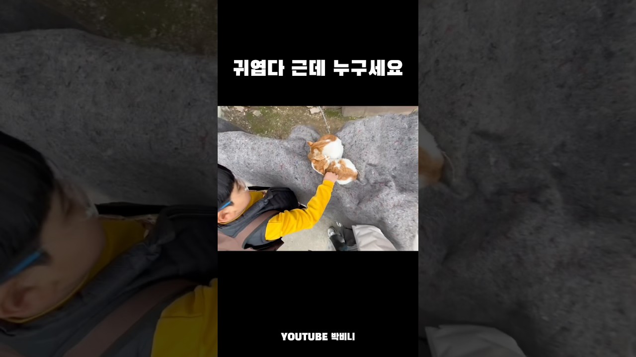 길가다가 모르는 초딩과 고양이 토크