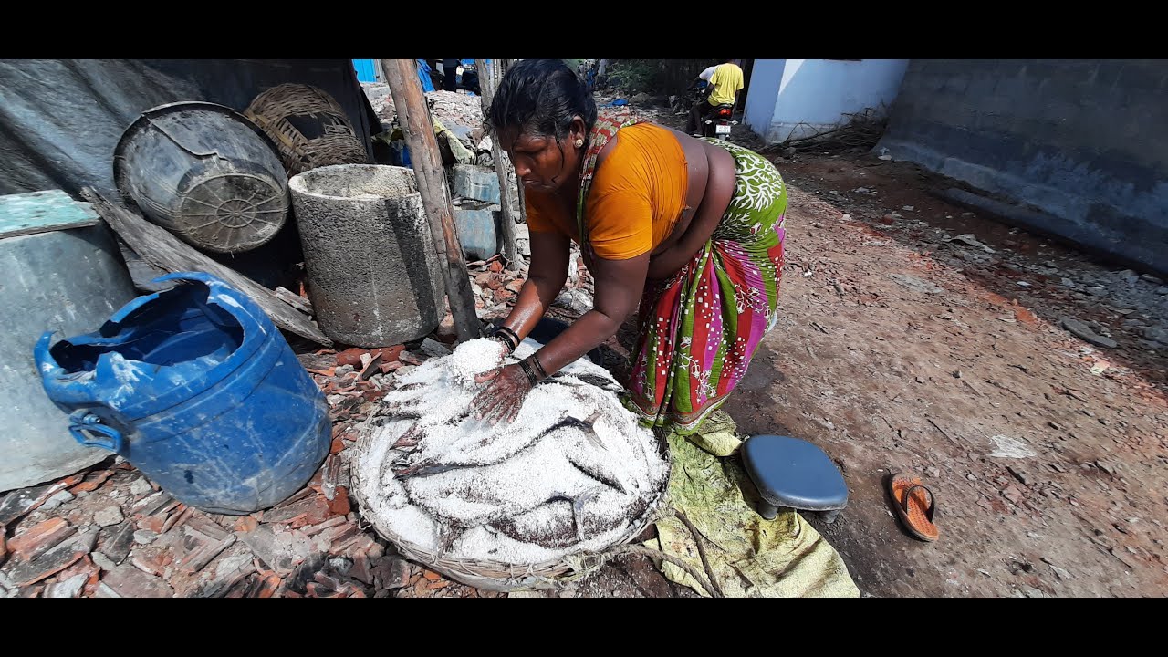 How to prepare Salted Fish|How To Make Dry Fish At Home |Village lady prepared Dry slat Fish|Salted