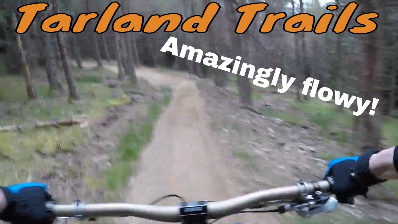 Tarland Trails - Riding All The Trails Vlog - Mountain Biking Trail Centre - Aberdeenshire, Scotland