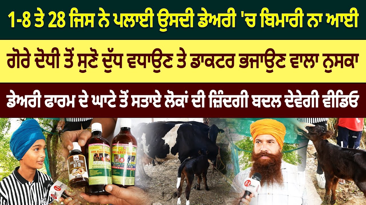 ਗੋਰੇ ਦੋਧੀ ਵਾਲਾ ਨੁਸਕਾ ਅਪਨਾਓ ਦੁੱਧ ਵਧਾਓ, ਡੇਅਰੀ 'ਚੋਂ ਬਿਮਾਰੀਆਂ ਮੁਕਾਓ