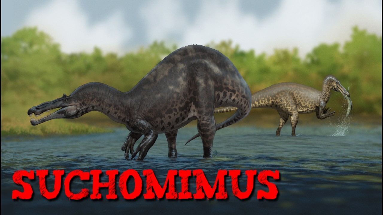 Suchomimus Bemutatása - Magyarul