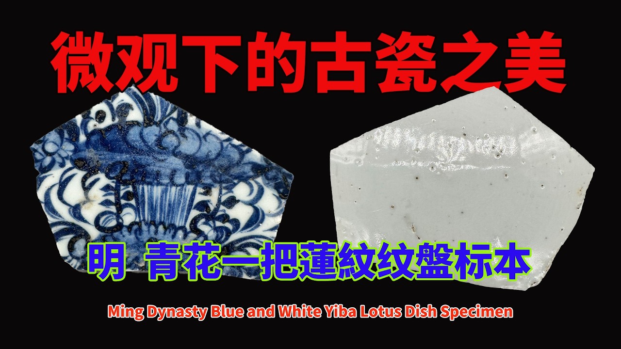 明  青花一把蓮紋纹盤标本 - Ming Dynasty Blue and White Yiba Lotus Dish Specimen일파연문 접시