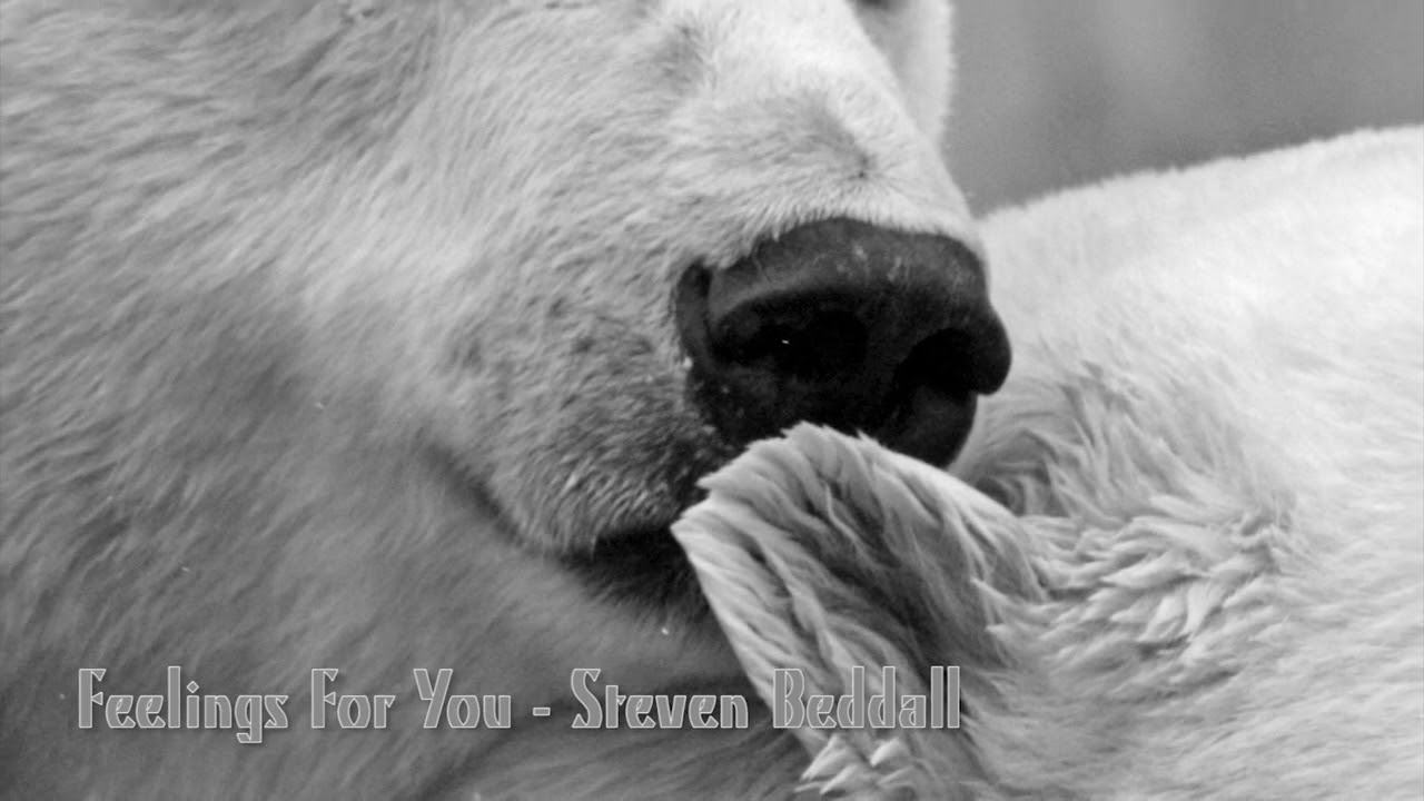 Feelings For You   Steven Beddall. Soul R&B