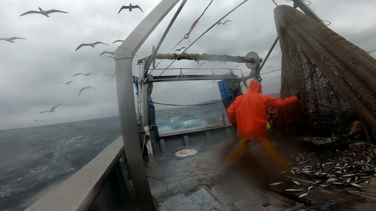pesca arrastre en alboran