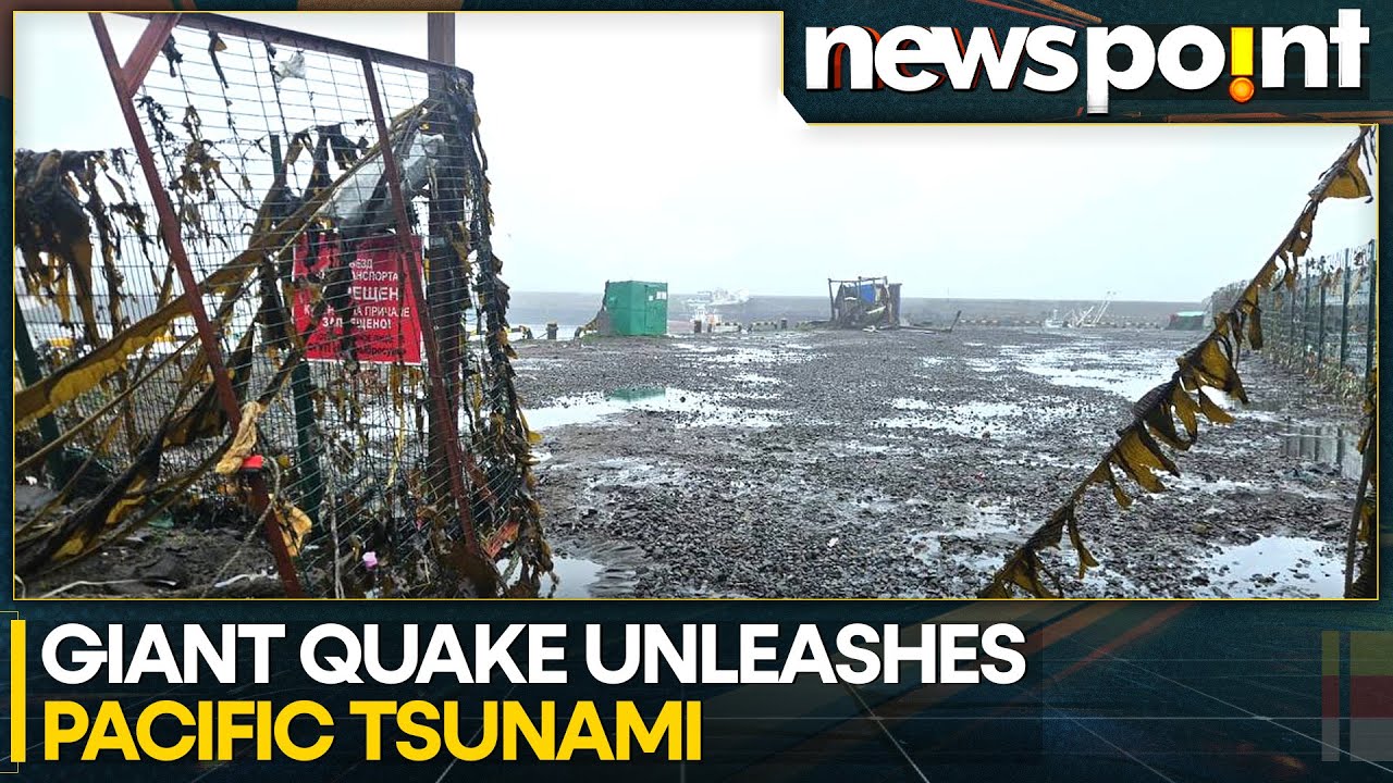 Tsunami Waves Hit Hawaii As Earthquake Off Russia Triggers Evacuations Across Pacific | Newspoint