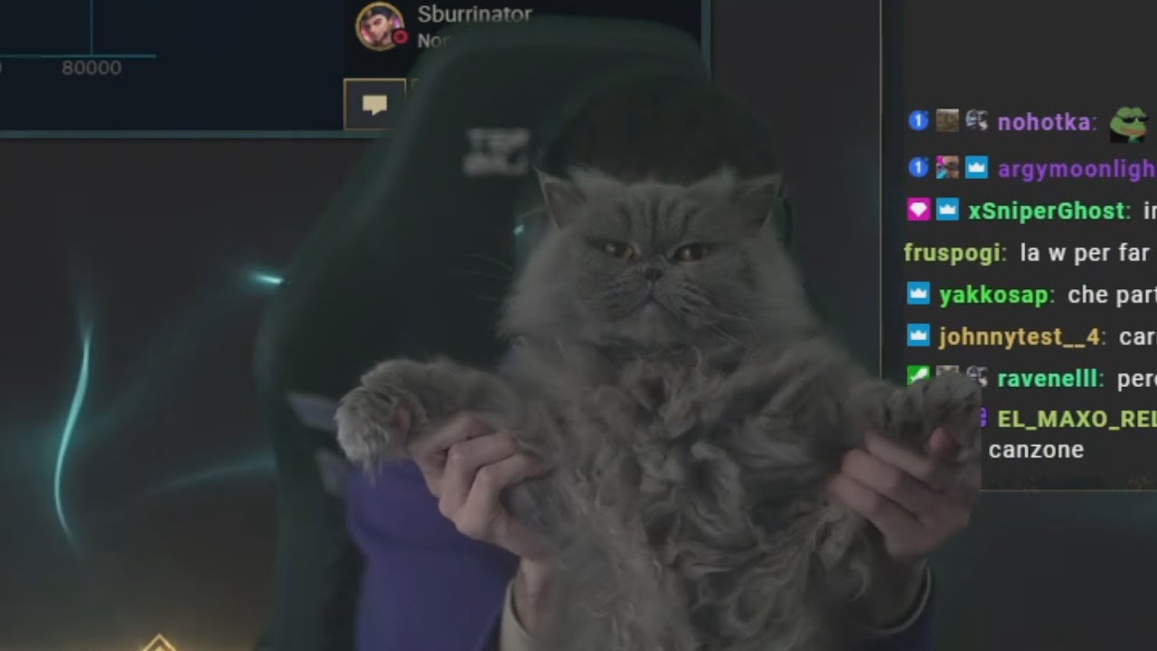 Stream Highlights #59 - Un anno da buttare