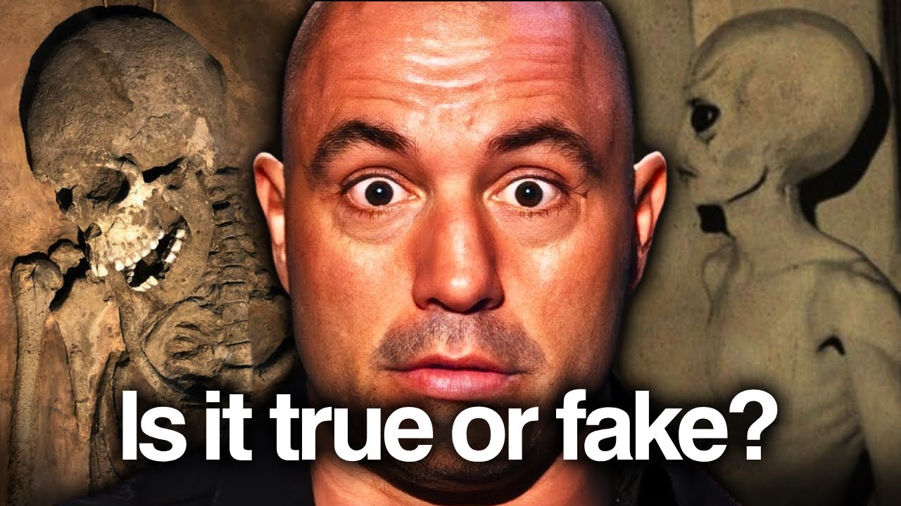 Best Joe Rogan Stories To Fall Asleep To