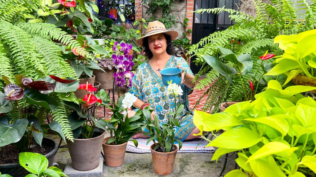 Te doy con que DAN Flor las Orquídeas y un recorrido de avances EXITOSOS por Mi Jardincito