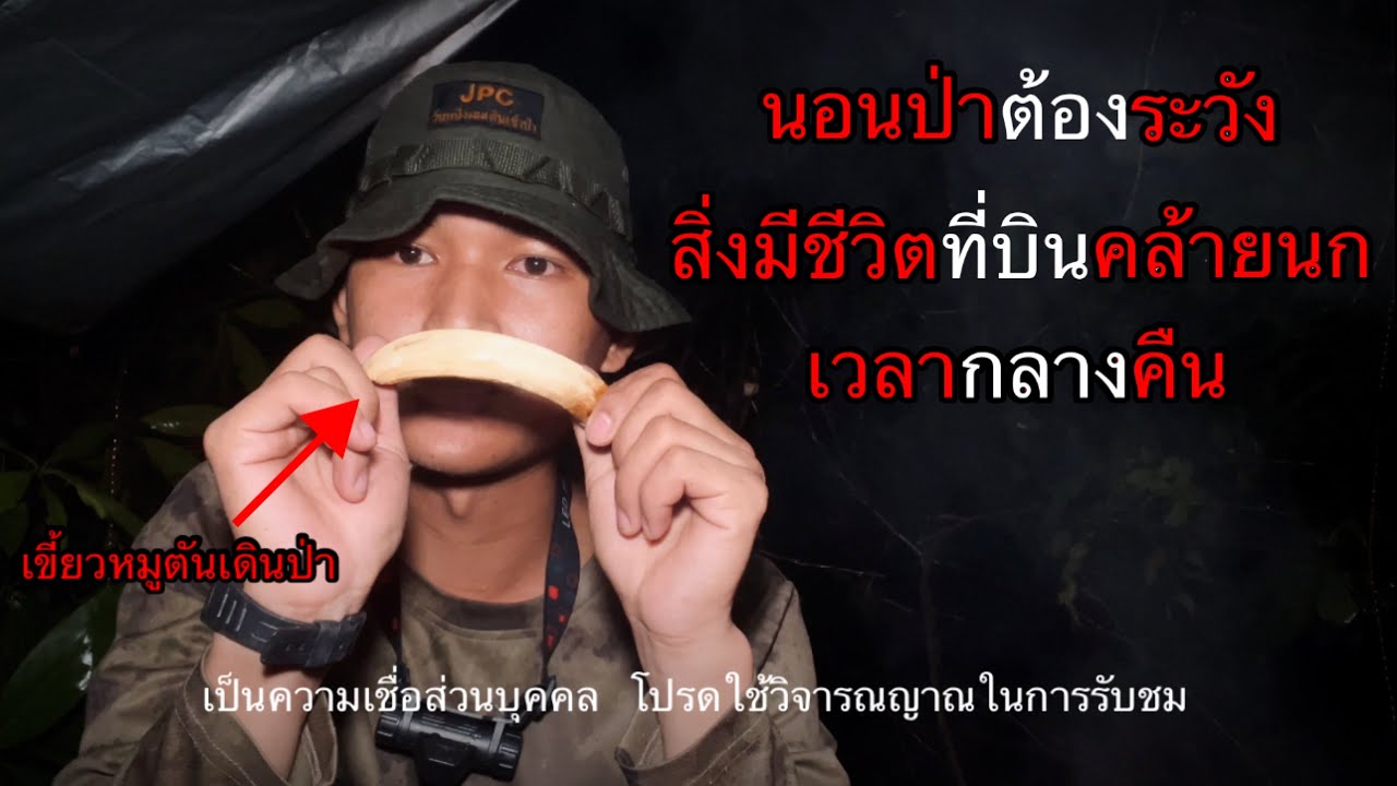 ขัดห้างในป่าคนเดียว เรื่องเล่าผีกระหังวินาทีสุดระทึกข้ามลำน้ำเชี่ยวคนเดียว NOทีมงาน ตอนที่ 77
