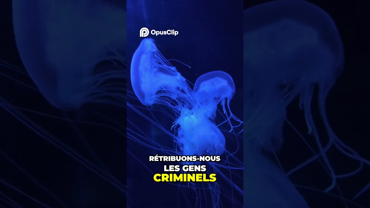 L'Inévitable Châtiment   Comprendre les Signes d'Allah 