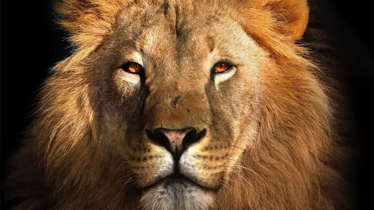 Без ограничений. Часть 3 || Основные моменты 2021 года