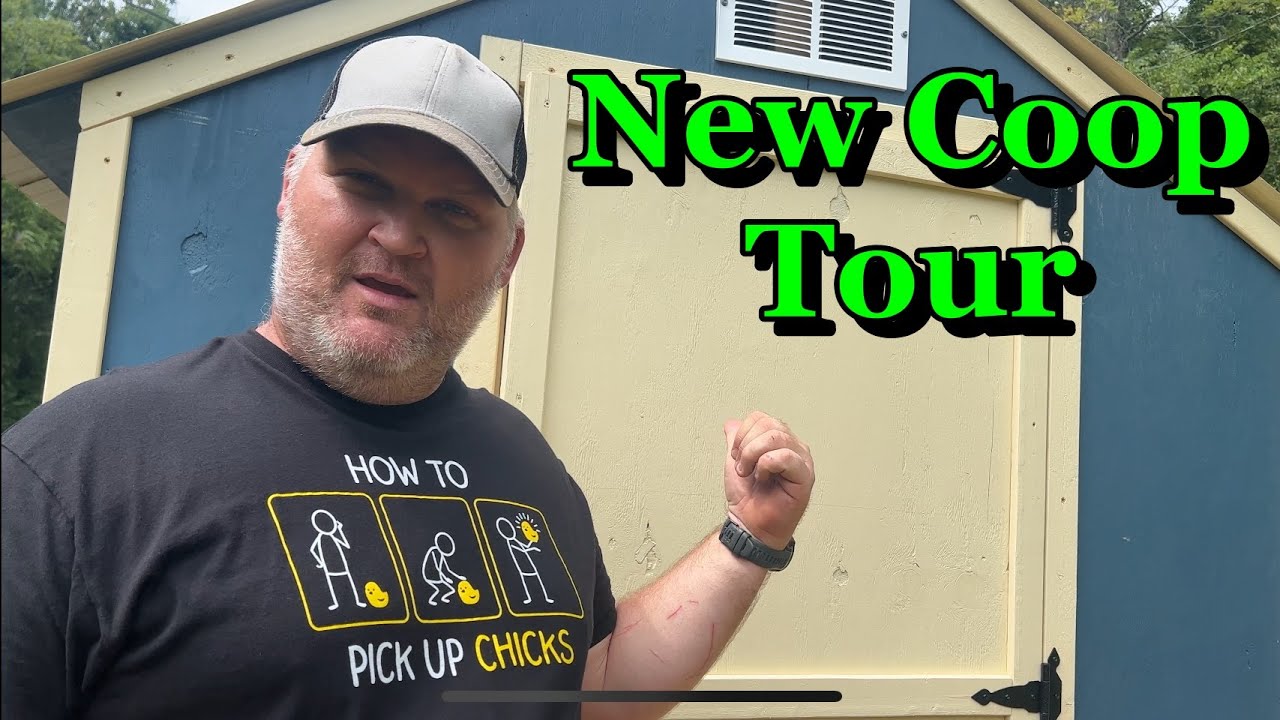 7x8 Chicken Coop Tour.  Coop was built using 2x4 Basics Shed Kit 90192MI