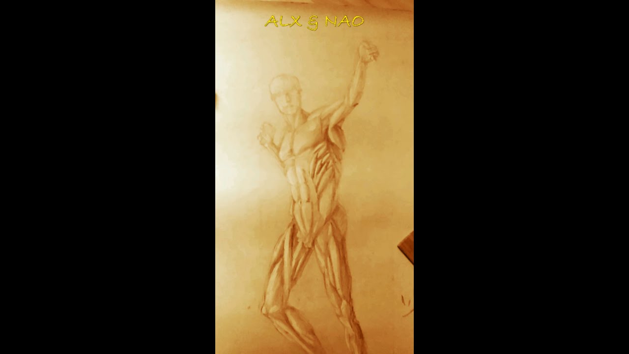 Did I forget to draw a muscle? 🤔🤫 - body art #shorts #drawing #painting #anatomy #art #bodyart