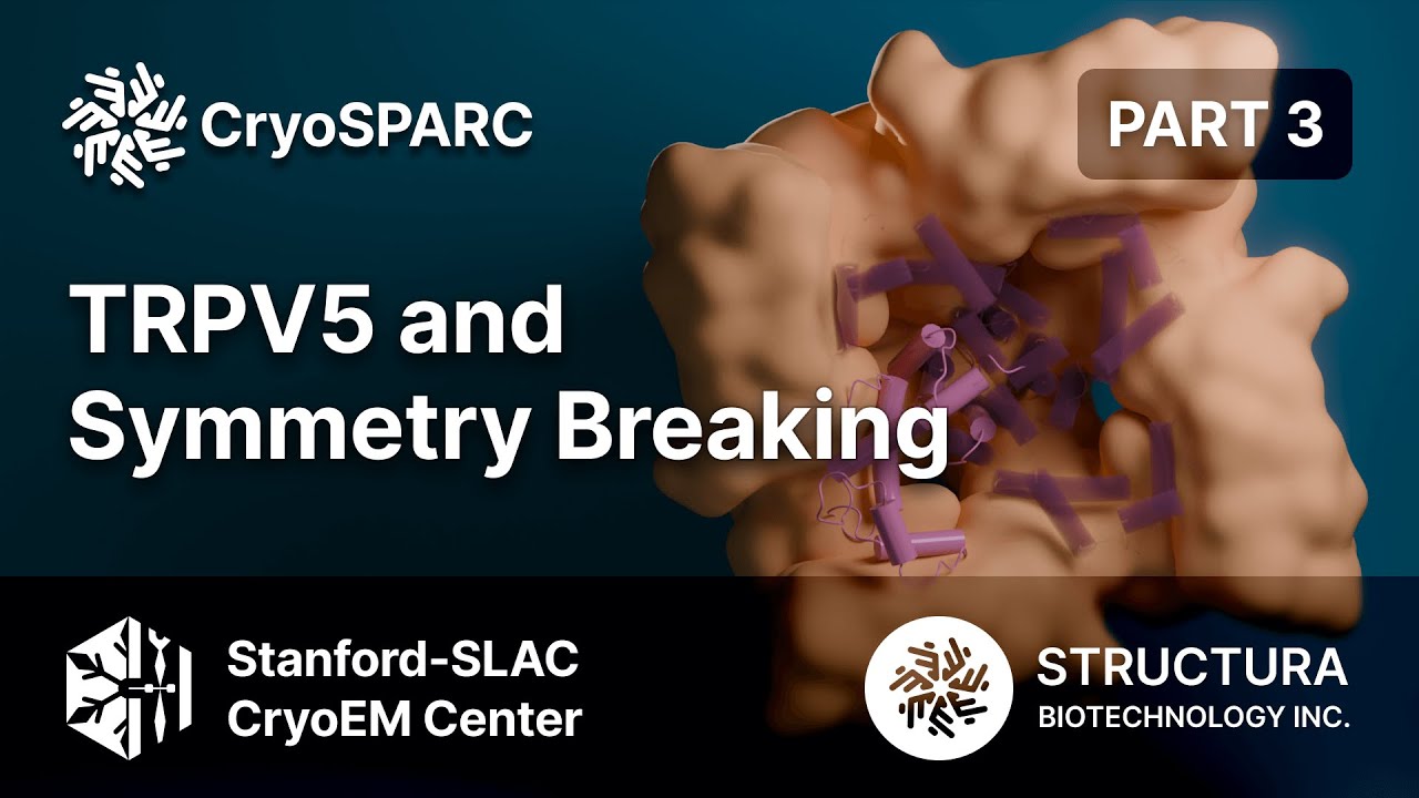 TRPV5 and Symmetry Breaking (Part 3 of 6)