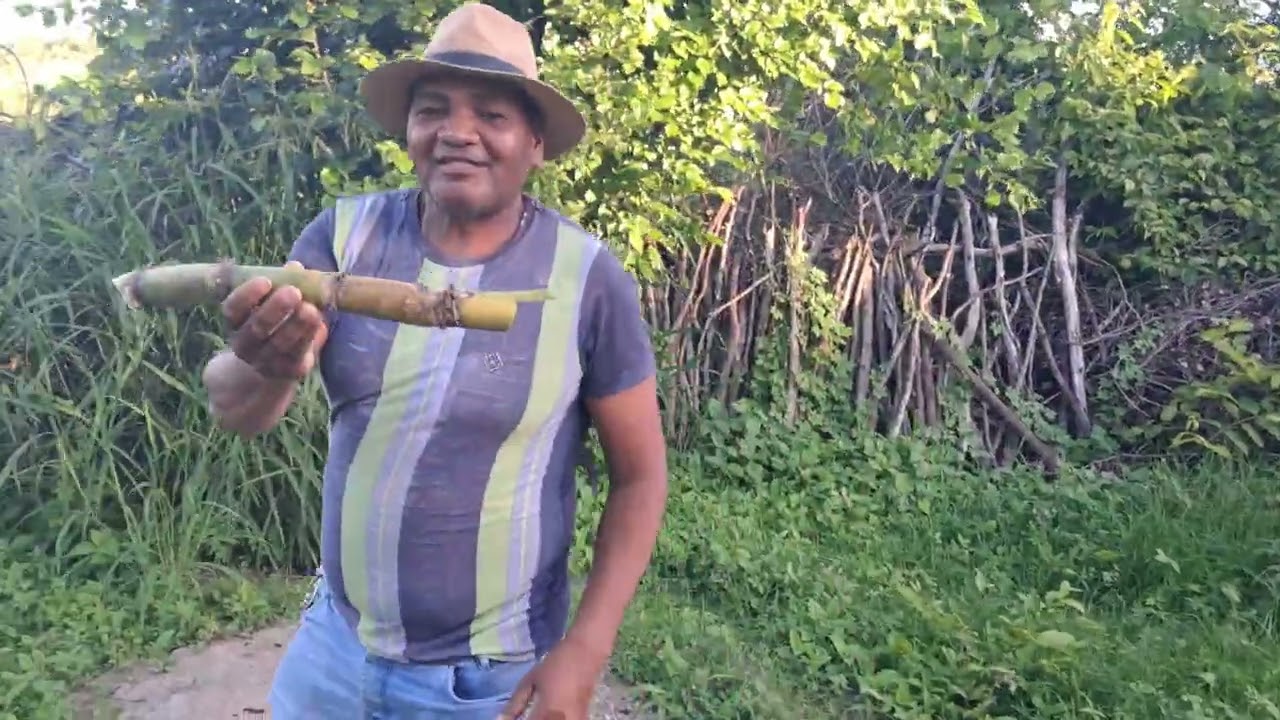 Seu Gilvan  de lagoa  do carro  comprando  cana. 