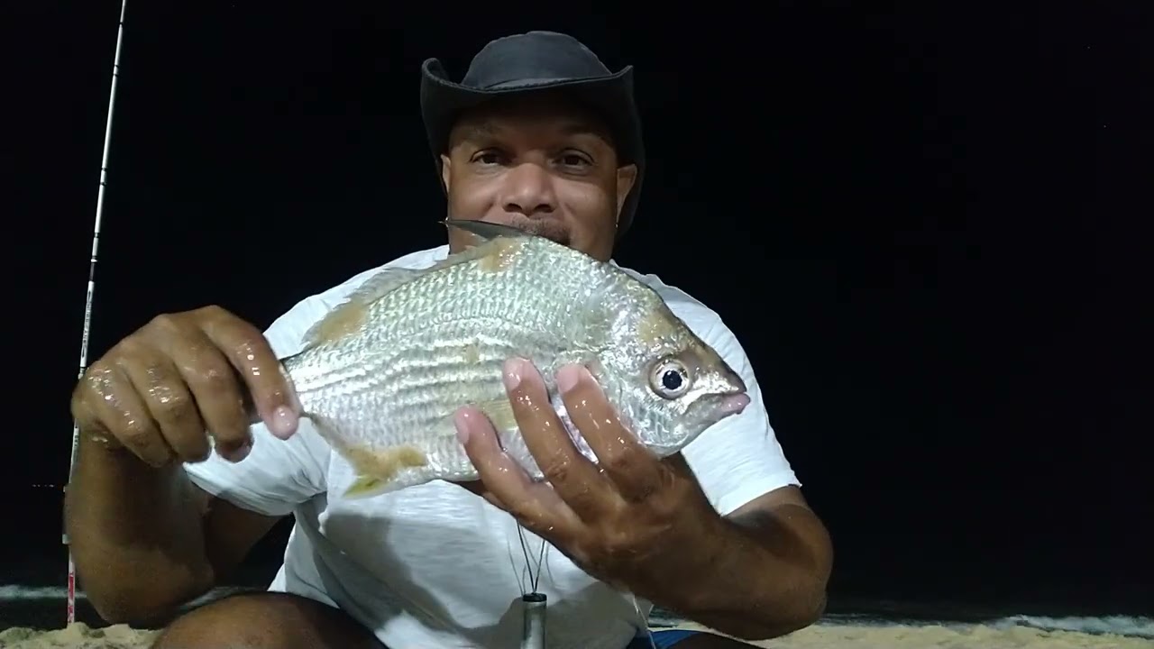 Como Pesca  peixe carapeba em praia  Com isca viva ,naturais, artificiais com anzol e linha fina
