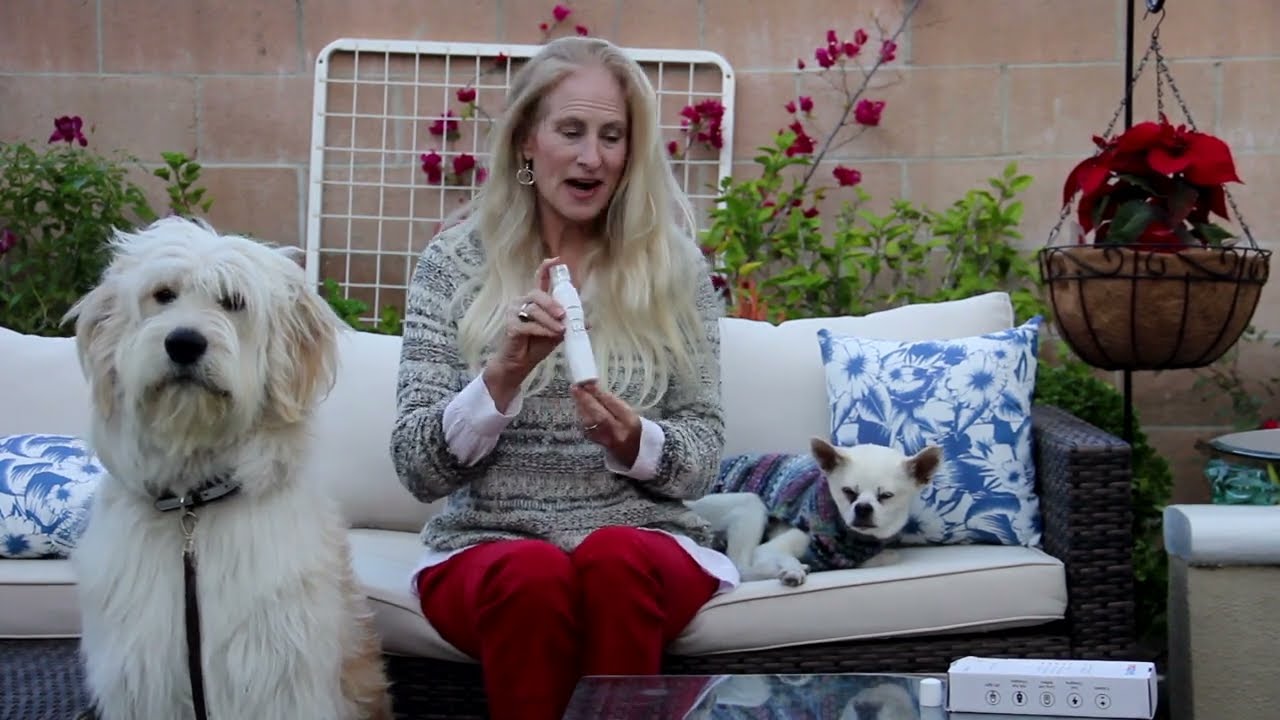How to use the Rexipets nail grinder to trim your dog's nails