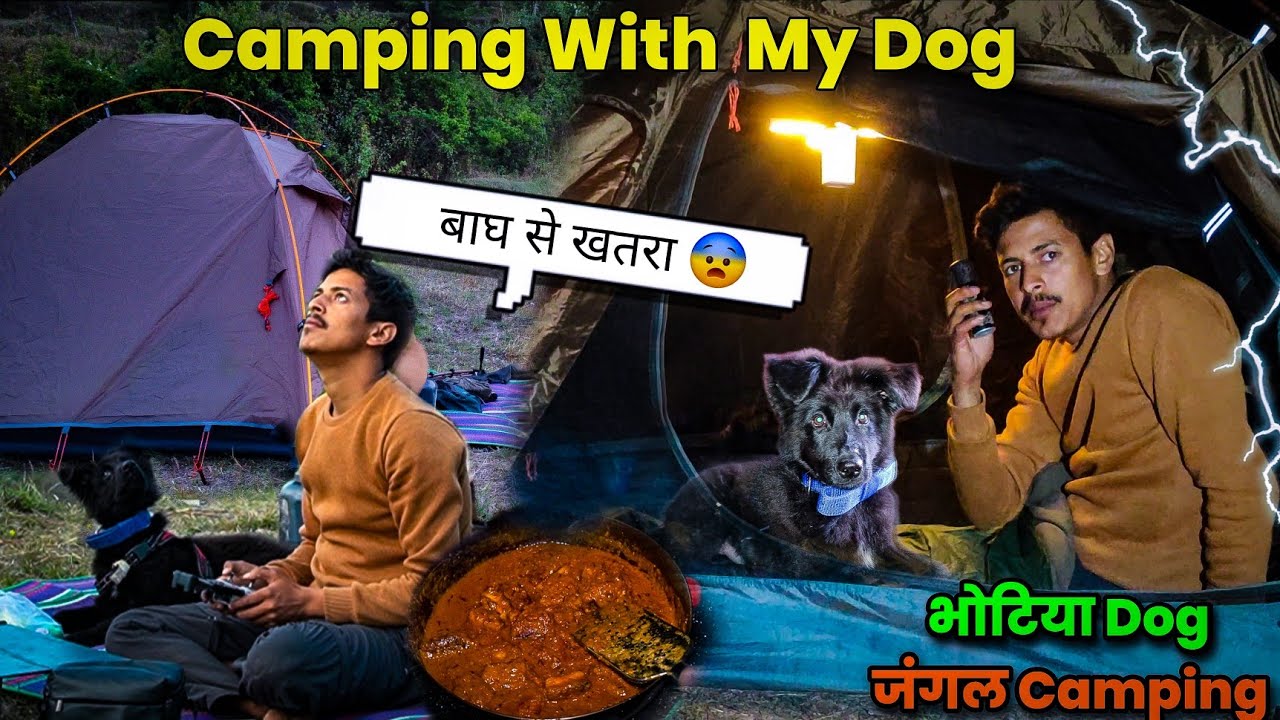 Solo Camping With My Dog In Forest | survival camping with dog | Camping In India | Unknown Dreamer