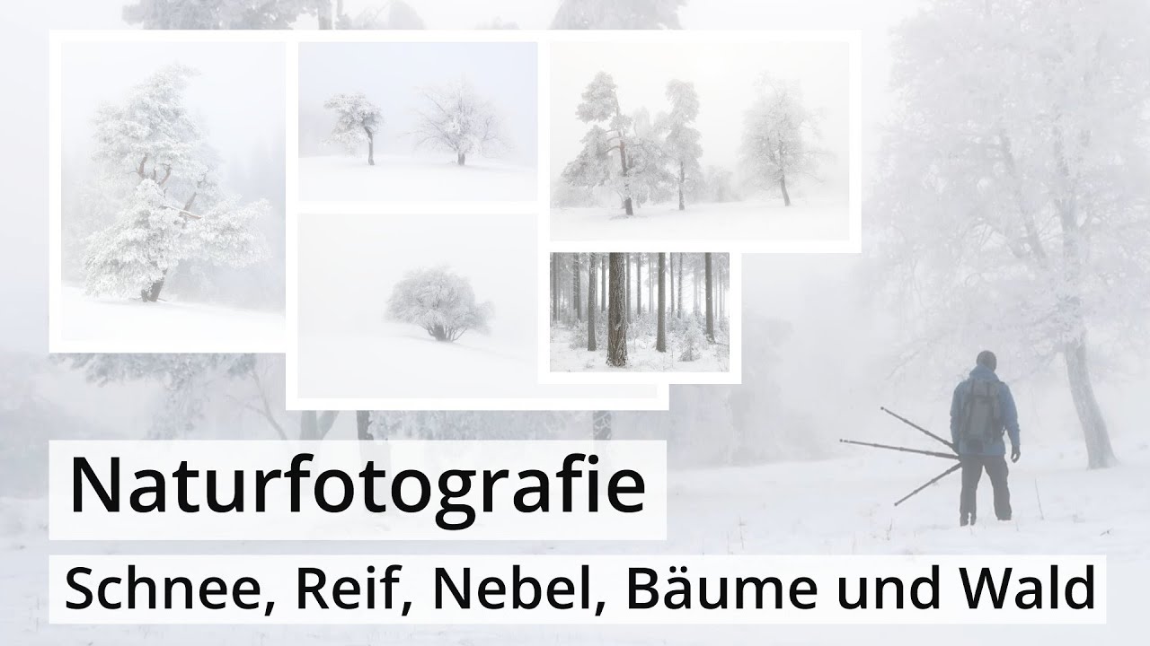 Naturfotografie: NEBEL, REIF, SCHNEE und BÄUME | Winter wie er sein soll!