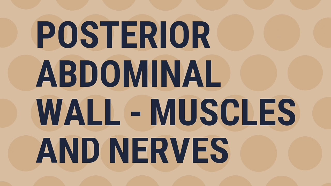 POSTERIOR ABDOMINAL WALL - MUSCLES AND NERVES - BY DR MITESH DAVE