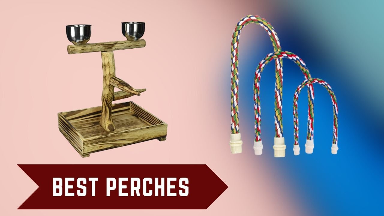 Perches - Perch Stand for Parrots - Aliexpress Bird Perches for Cages