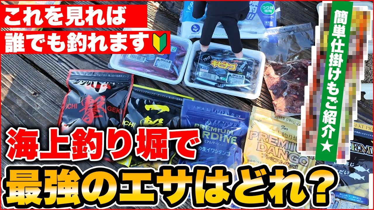 釣り堀のプロが解説・海上釣り堀で最強のエサはどれ？使い分けを徹底解説いたします。