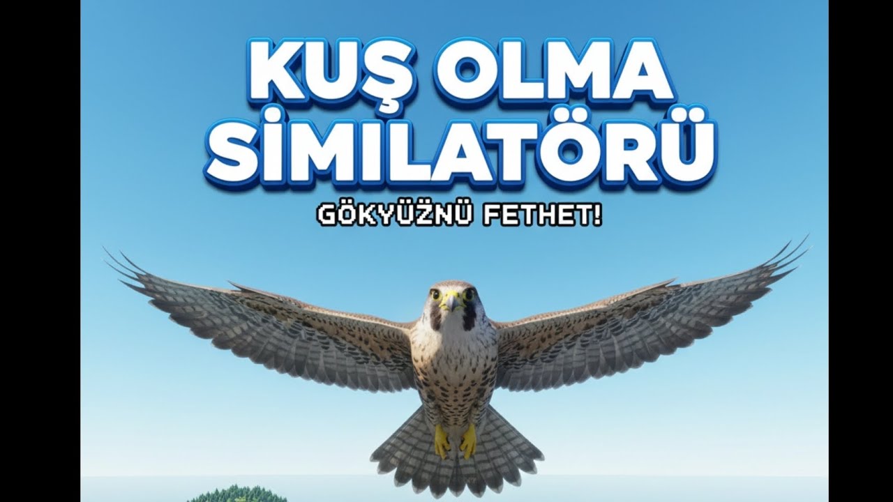 KUŞ OLMA SİMİLATÖRÜ (polis dronu düşürdüm)