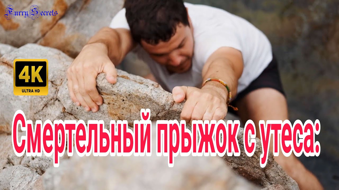 Смертельный прыжок с утёса: Невероятная история спасения кошки. 🏰🐈