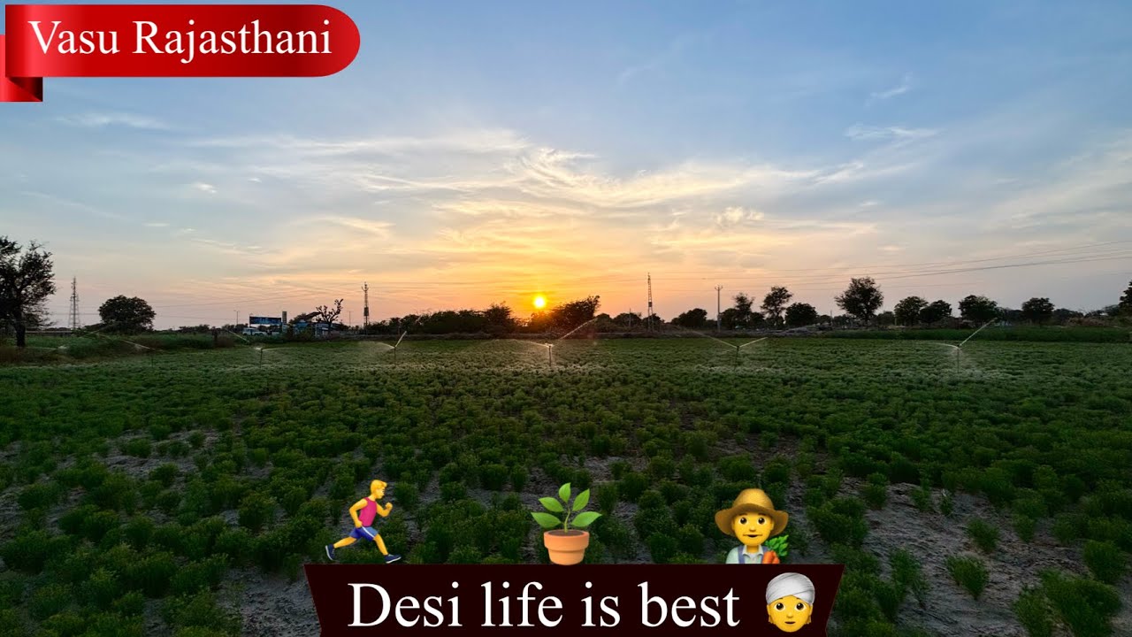 Aaj road vala jira pani…..🌳  #vlog 