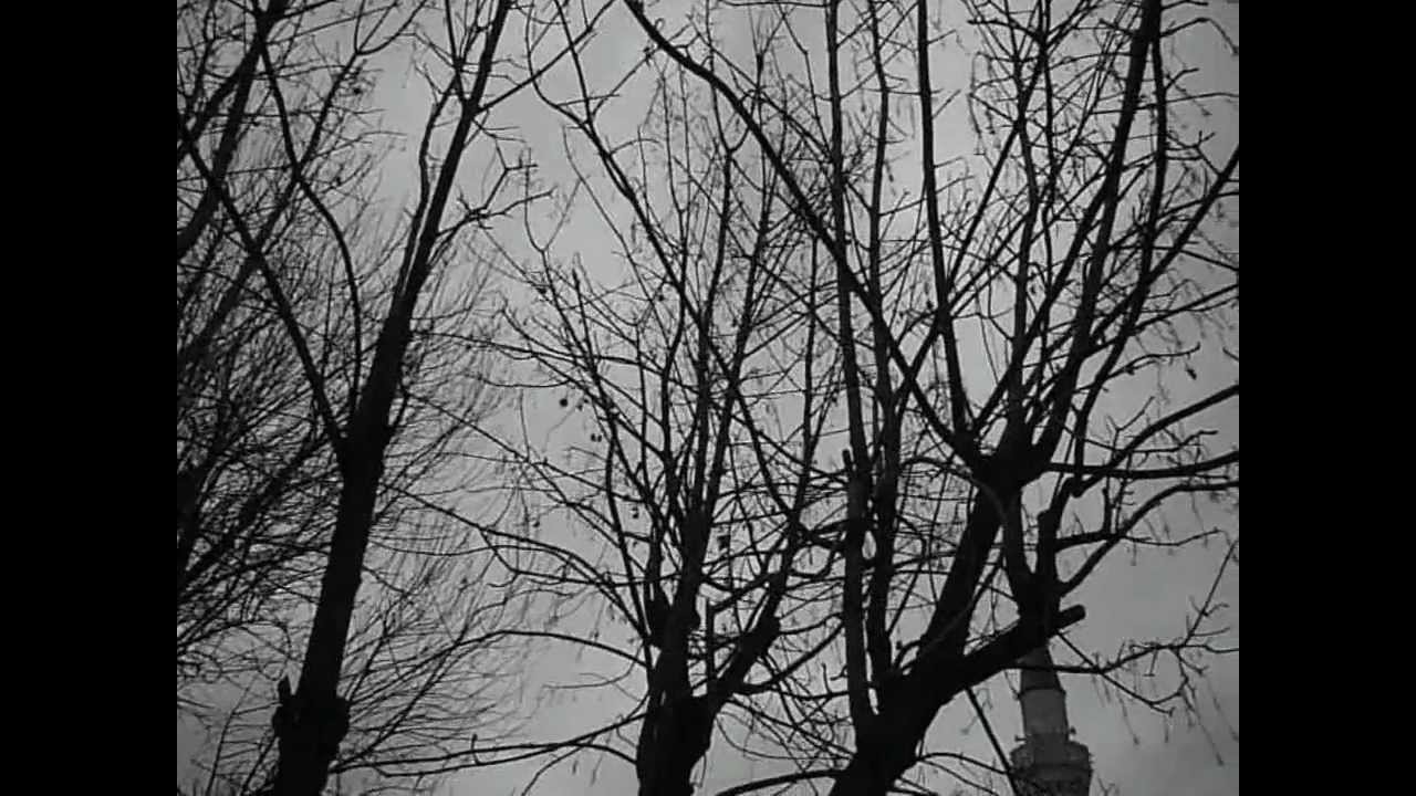 Max Richter - Sarajevo (Video)