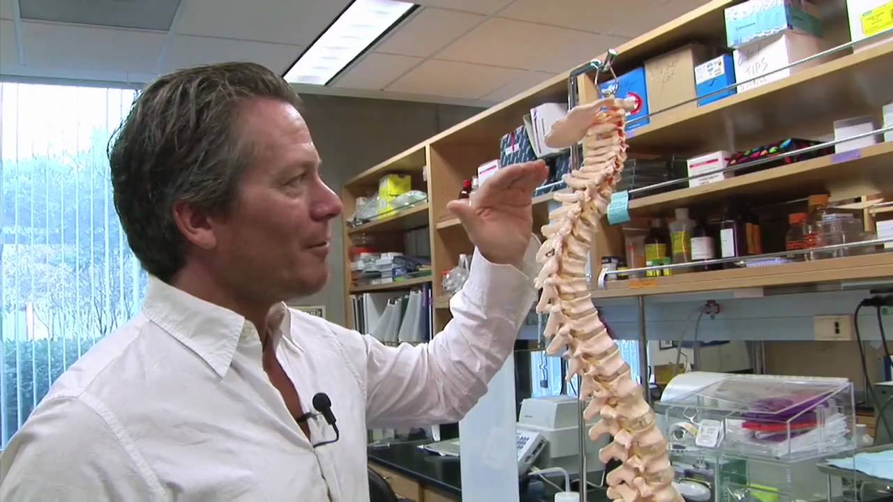 Dr. Keirstead discusses Cervical Stem Cells