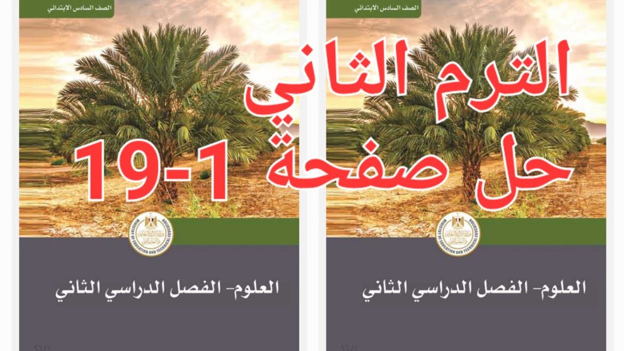 ترم الثاني حل كتاب المدرسة علوم صفحة 1-19 الصف السادس الابتدائي 2026