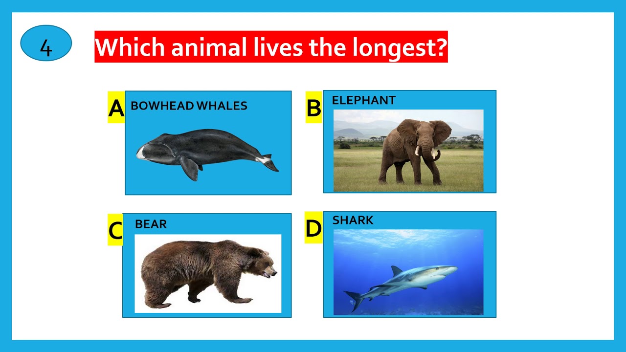QUIZ FOR KIDS || PART 12 || QUIZ ON ANIMALS || KIDS GK ON ANIMALS || GENERAL KNOWLEDGE FOR CHILDREN