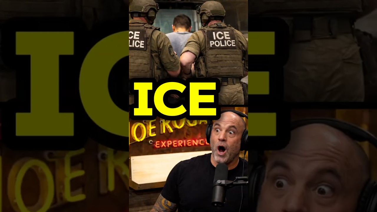 Joe Rogan & Rand Paul: Are ICE Raids Targeting The Right People?