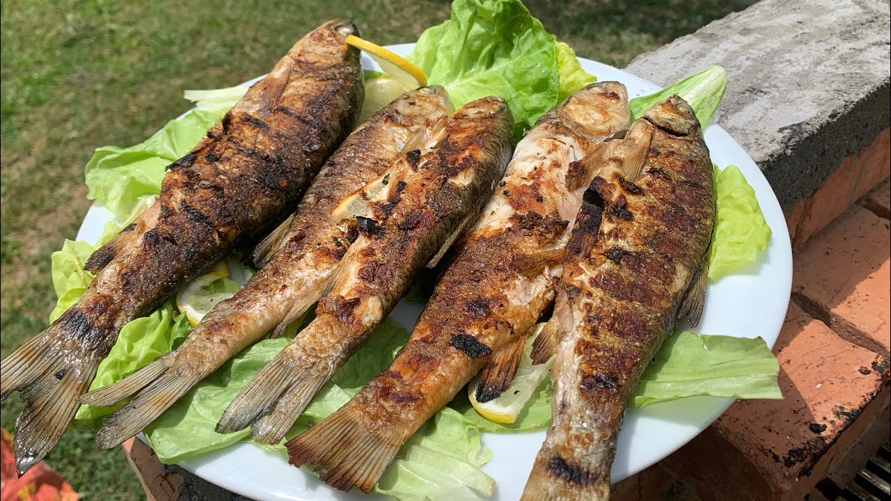 Peshk Drini i freskt, i pregaditur ne Grill !!