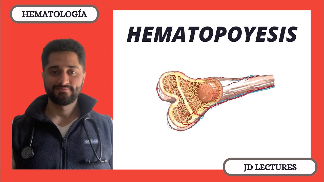 HEMATOPOYESIS | HEMATOLOGÍA