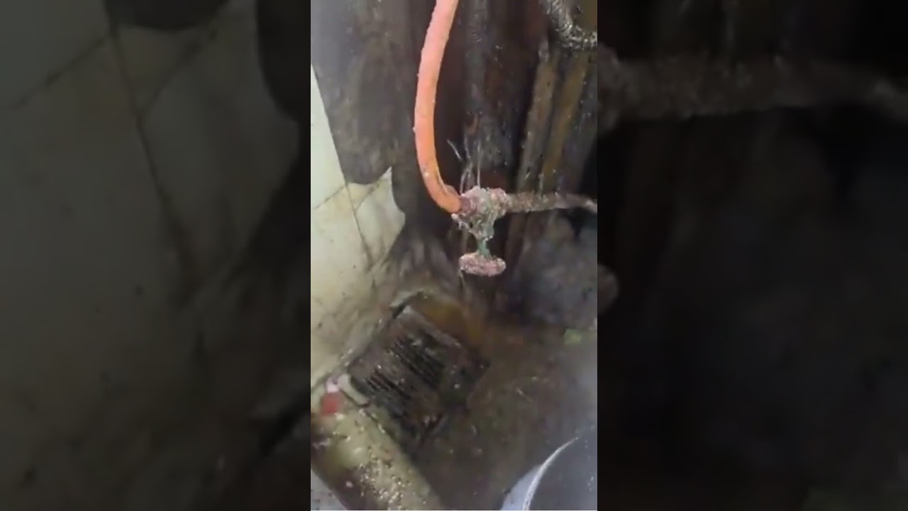 Samosas Kept Near An Open Drain At Malad Eatery; FDA Suspends License Immediately | #shorts