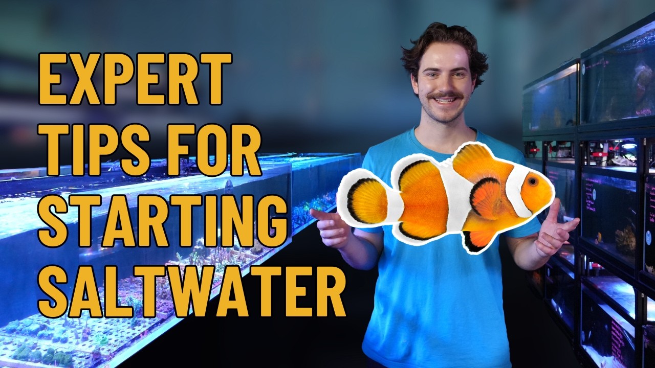 BEST Beginner Saltwater Fish & Tank Ideas | Marine Expert at Australia's Largest Aquarium Store!