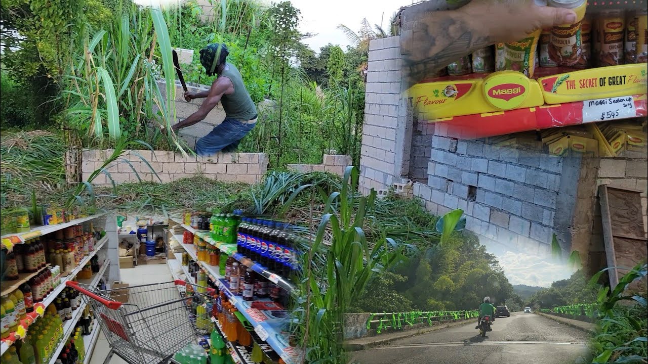 Cleaning up the house project property | did some food shopping | election day announcement