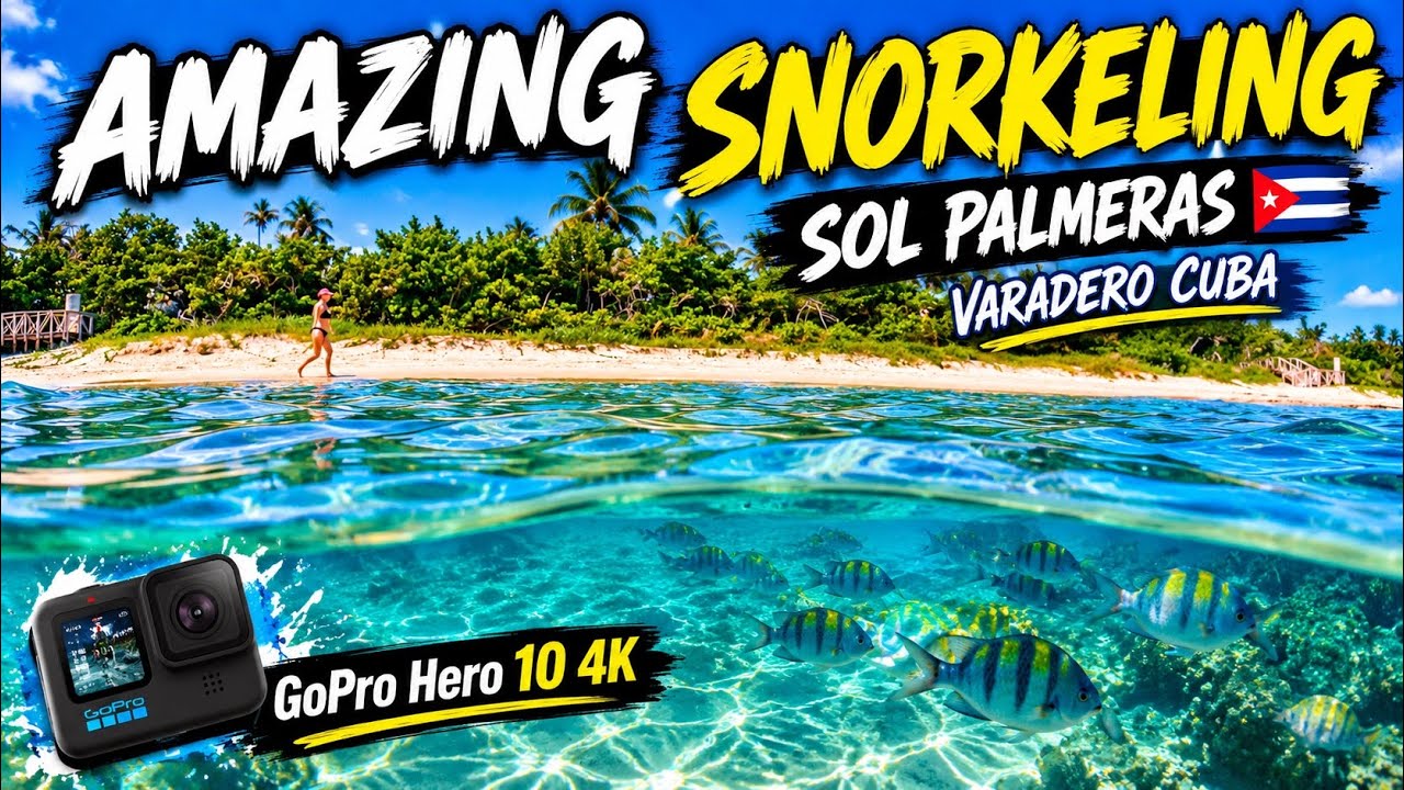 Amazing Snorkeling Off The Beach at SOL PALMERAS RESORT, VARADERO CUBA, GoPro Hero 10 4K