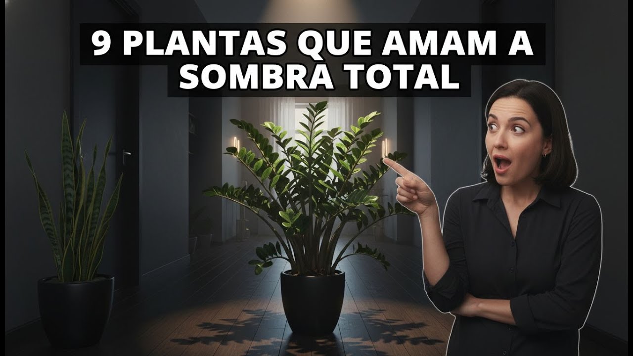 9 Plantas que SOBREVIVEM no Escuro e Transformam Qualquer Apartamento em Jardim