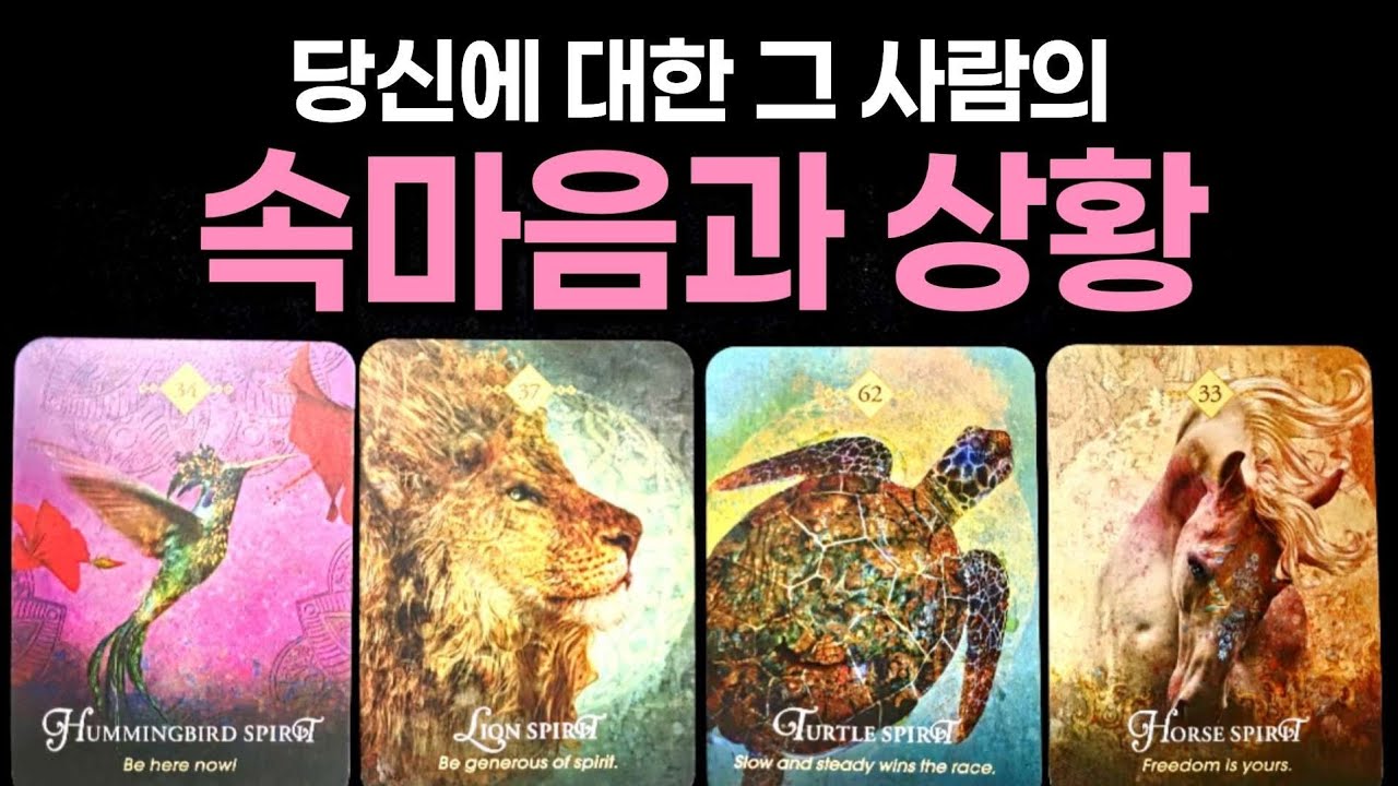 [타로] 당신에 대한 그 사람의 속마음과 상황🌹