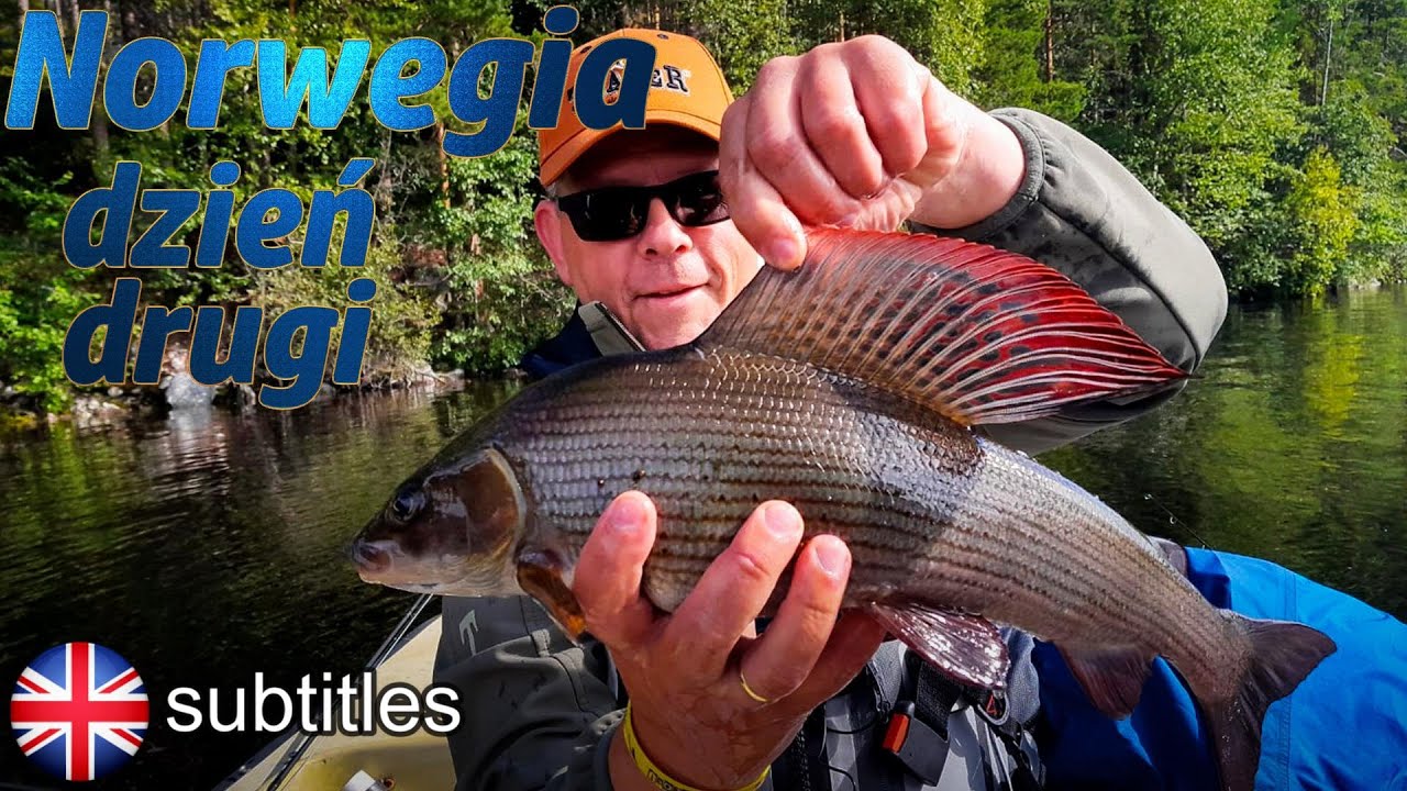 Norwegia D2. Rzeka i jezioro. Lipień 52cm. #traper