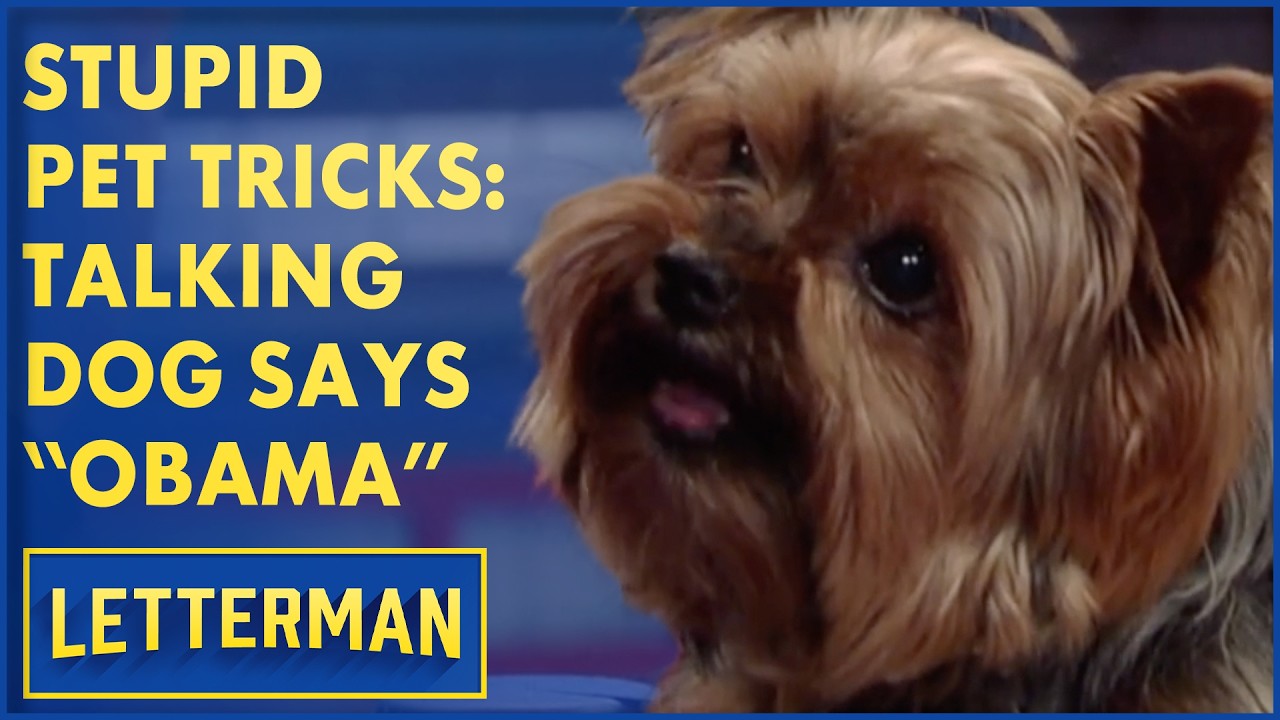 Stupid Pet Tricks: Talking Dog Says 