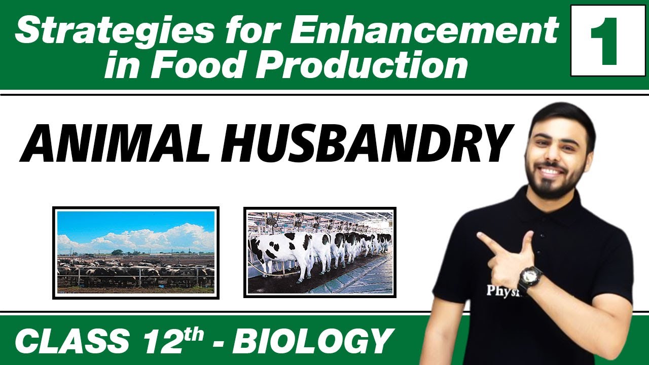 Strategies for Enhancement in Food Production 01- Animal Husbandry | Class 12 NCERT