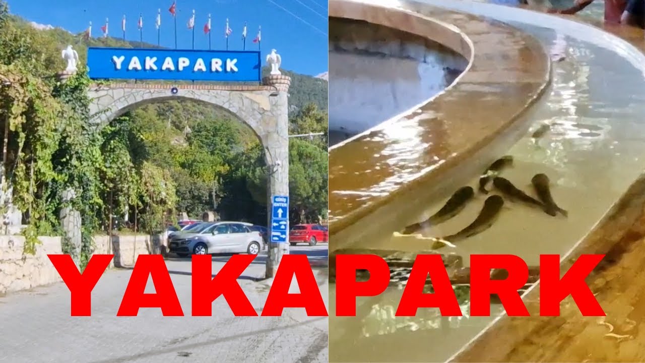 Yakapark Gezi Vlogu: Şelaleler, Alabalıklar ve Doğanın Kalbi