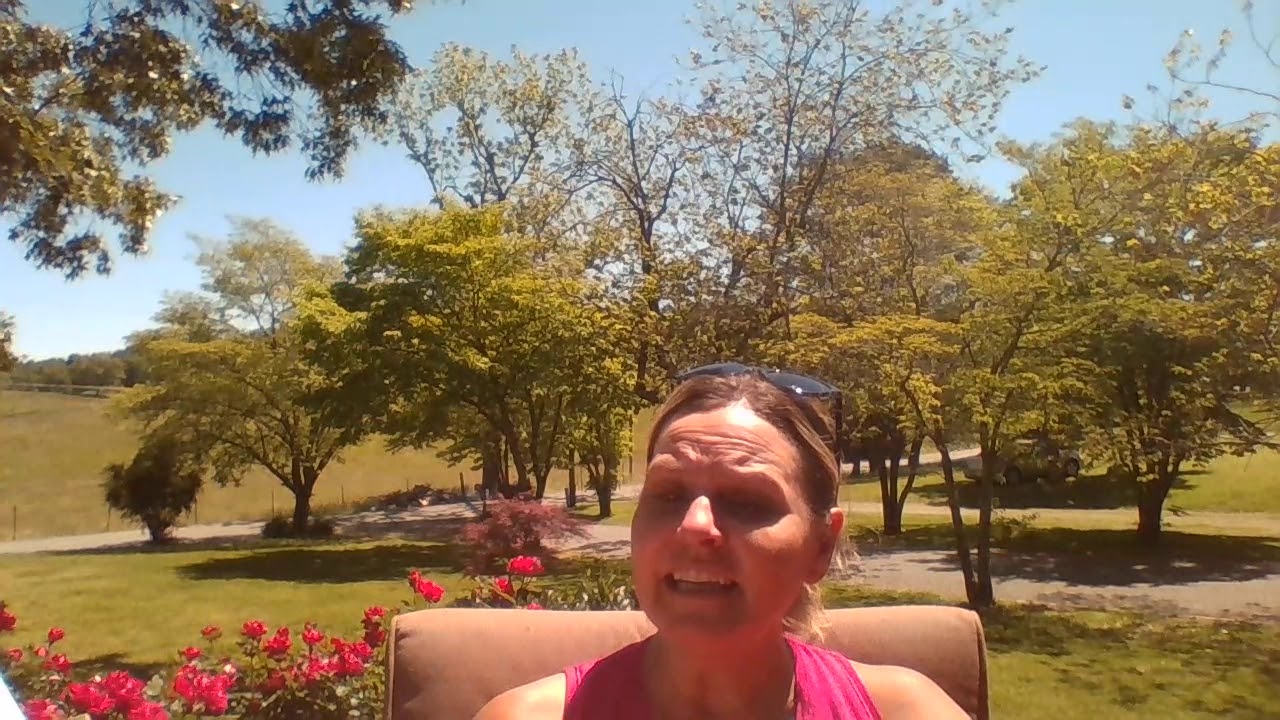 Holes Chapters 26-30